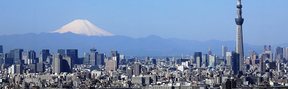 東京スカイツリーと富士山の景色