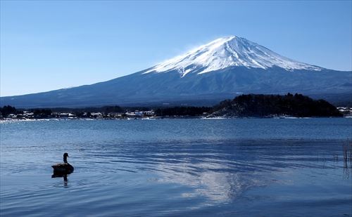 東京富士山